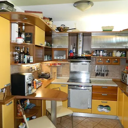 Vila Denica Holiday home *